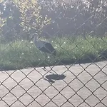 Wczasy Nad Jeziorem Nyaraló