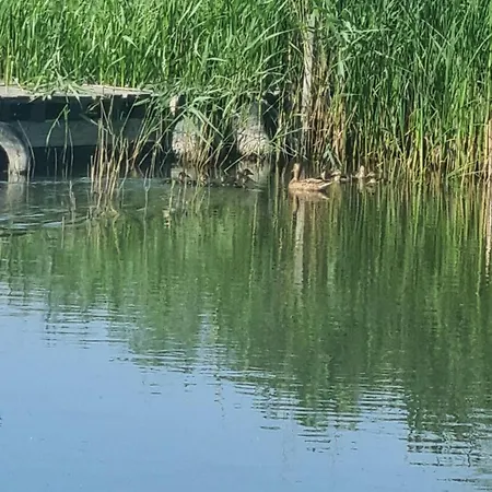 Dom Nad Jeziorem Jezierzany