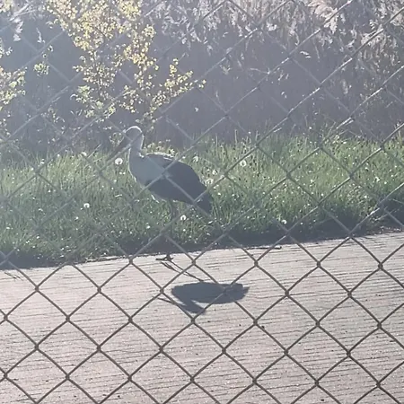 Dom Nad Jeziorem Casa vacanze