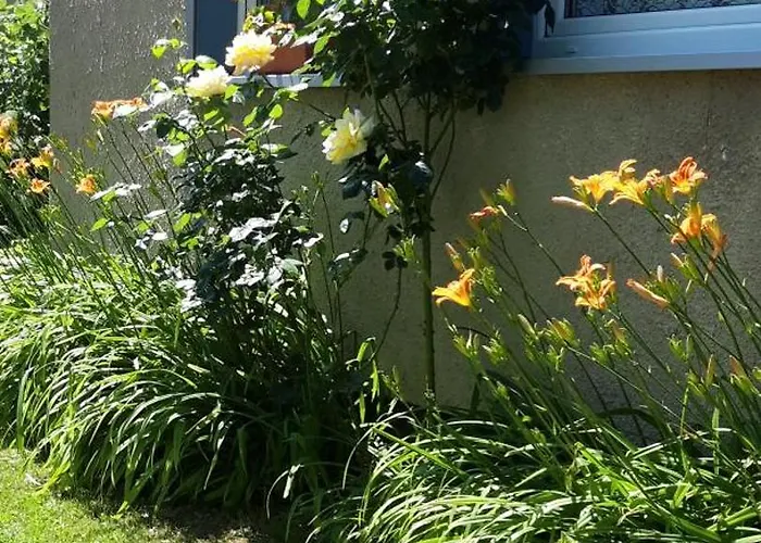 Dom Nad Jeziorem * Jezierzany