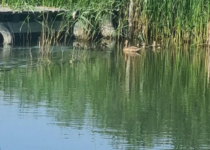 Dom Nad Jeziorem Jezierzany