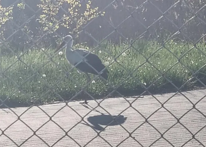 Dom Nad Jeziorem 別荘